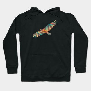 Eagle Geometric Gradient Hoodie